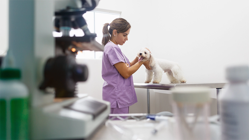 Estudiantes del Curso Auxiliar Clínica Veterinaria
